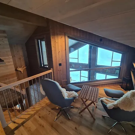 Large Modern Family Lifjell