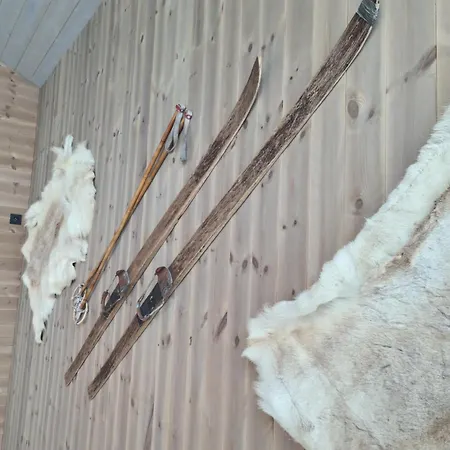 Large Modern Family * Lifjell