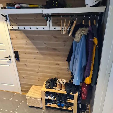 Large Modern Family Lifjell