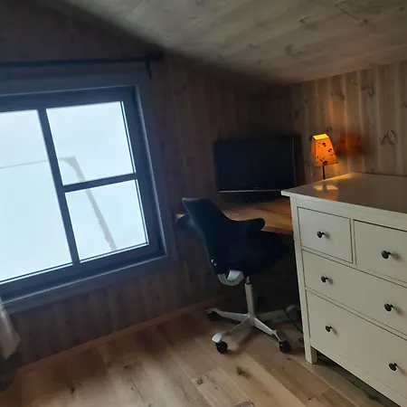Large Modern Family Lifjell