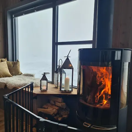 度假居 Large Modern Family *