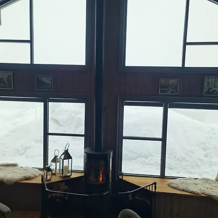 度假居 Large Modern Family