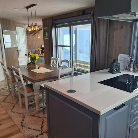 度假居 Large Modern Family *