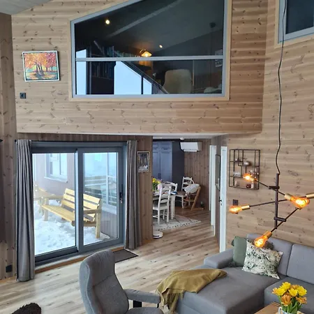 Large Modern Family Lifjell