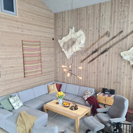 Large Modern Family Holiday home Lifjell