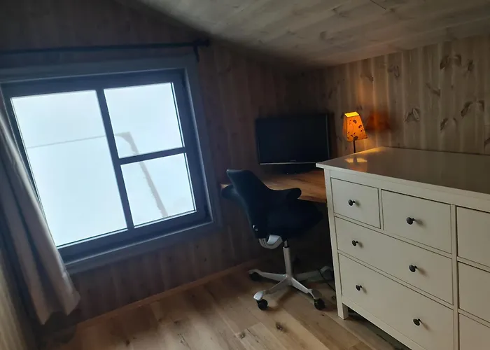 Large Modern Family Lifjell