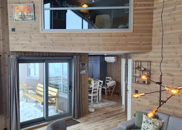 Large Modern Family Lifjell