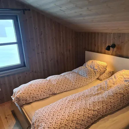 Large Modern Family Lifjell